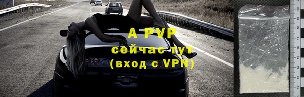 трава Няндома