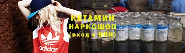 трава Няндома