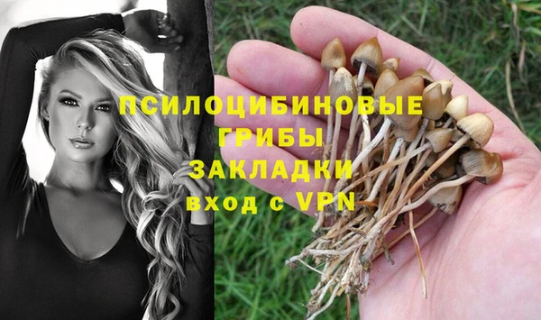 трава Няндома