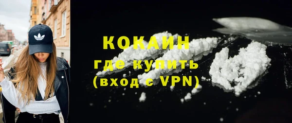 трава Няндома