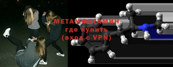 трава Няндома