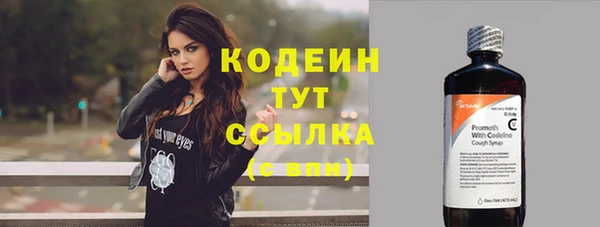 трава Няндома