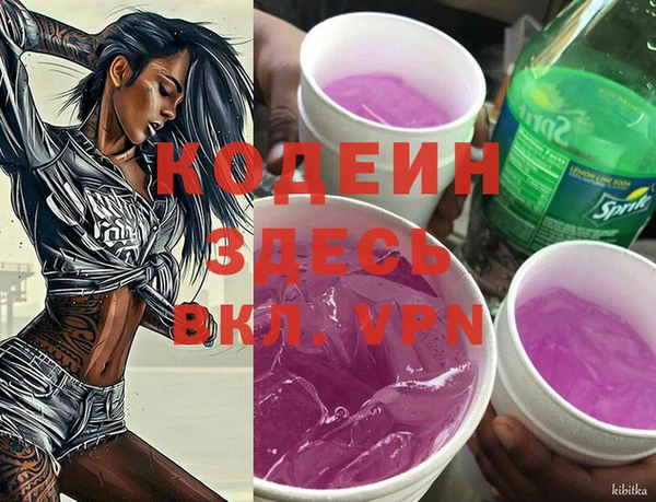 трава Няндома