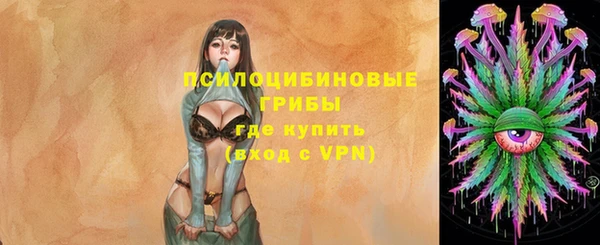 мяу мяу мука Нязепетровск