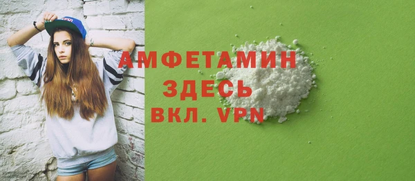 трава Няндома