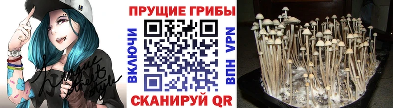 omg рабочий сайт  Монино  Галлюциногенные грибы мицелий 